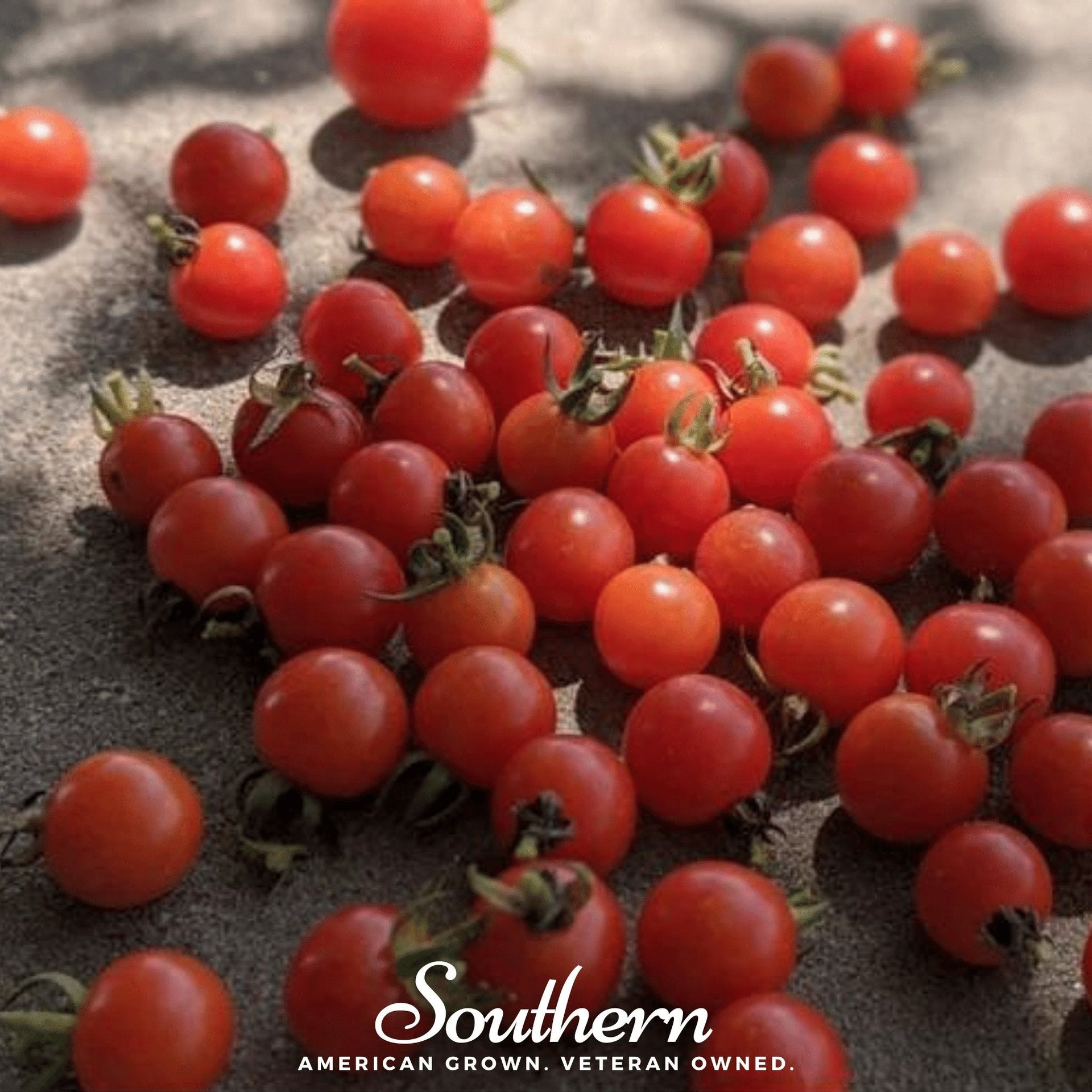 Tomato Seeds More Heirloom Varieties Seed Therapy Southern Seeds tomato-seeds-more-heirloom-varieties-seed-therapy-southern-seeds