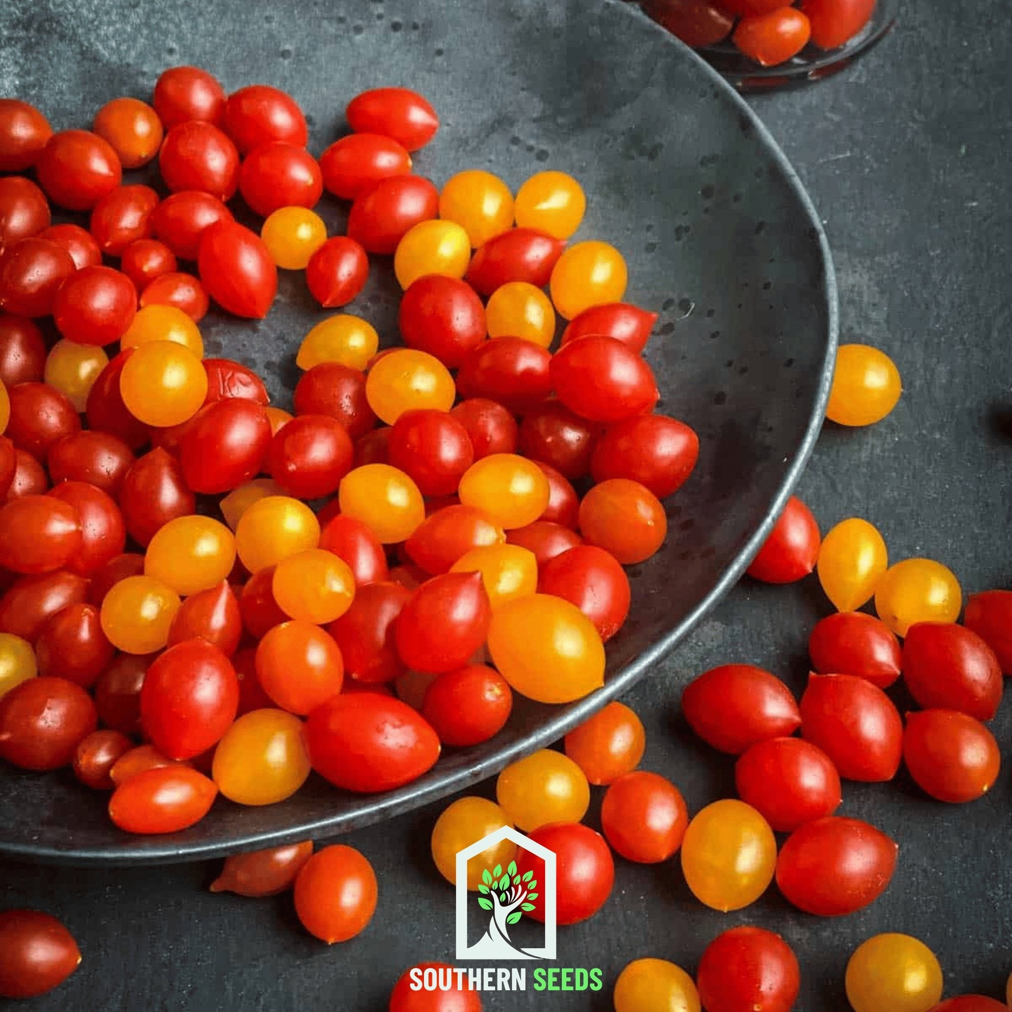 Tomato, World's Smallest - Tomberry (Solanum lycopersicum) - 25